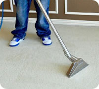 carpet steam cleaners